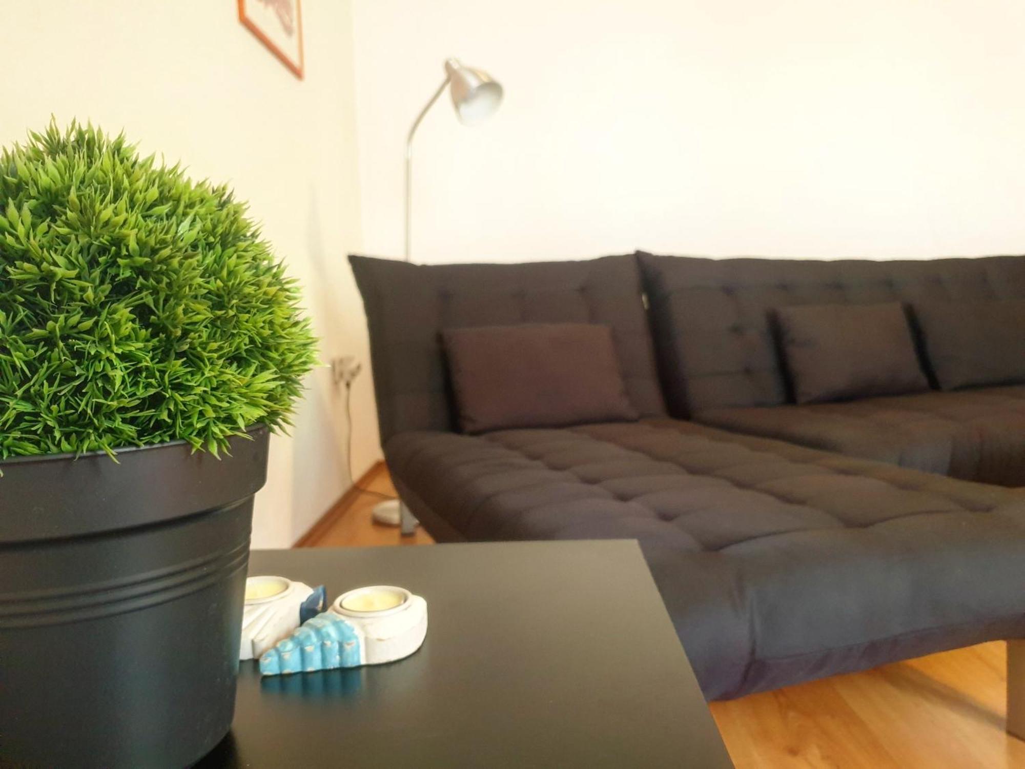 Villa Spanjol ラブ 部屋 写真